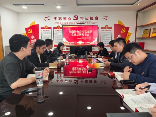 西南售电公司党建品牌发布会
